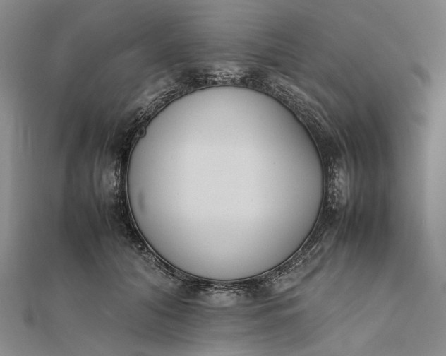 X0000111850608200908061316