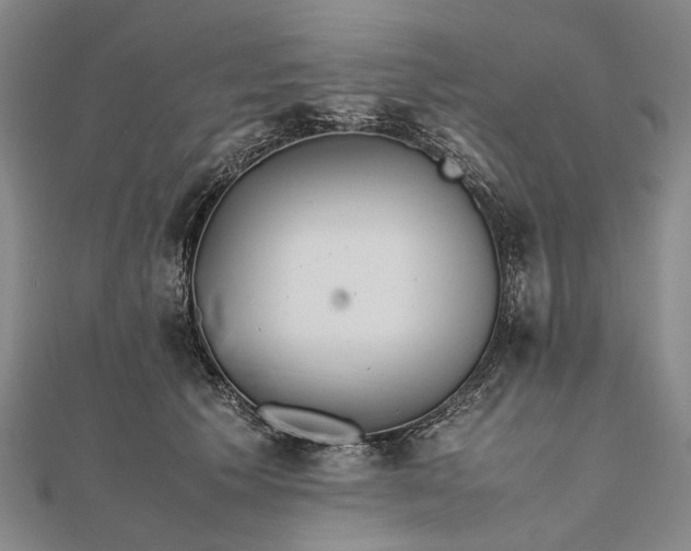 X0000111850609200908061316