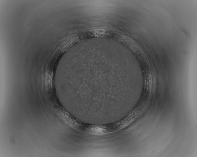 X0000111850610200908061316