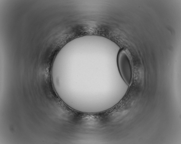 X0000111850611200908061316