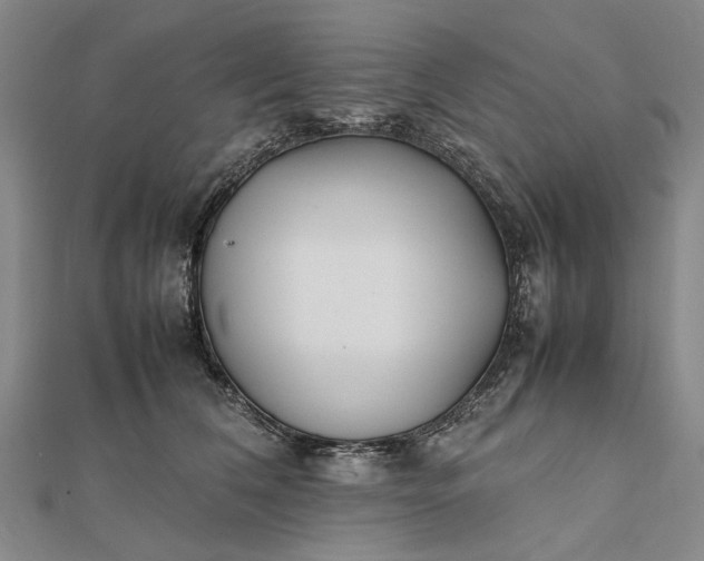 X0000111850612200908061316