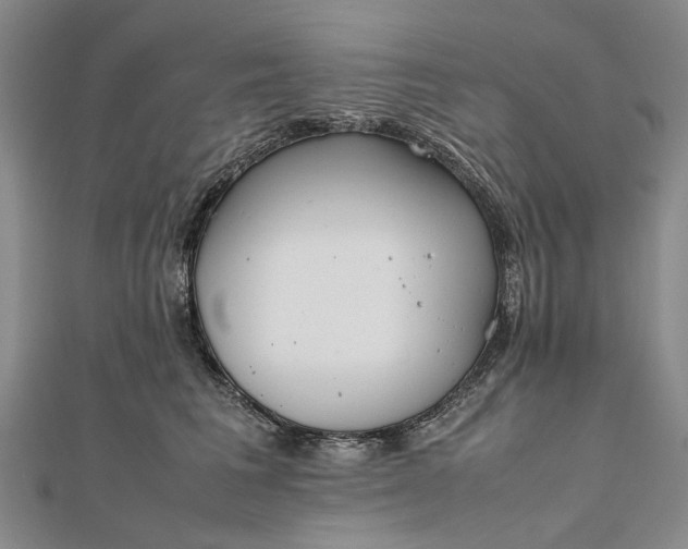 X0000111850613200908061316