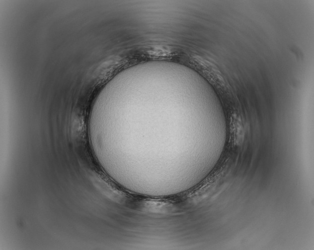 X0000111850614200908061316