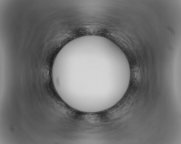 X0000111850615200908061316