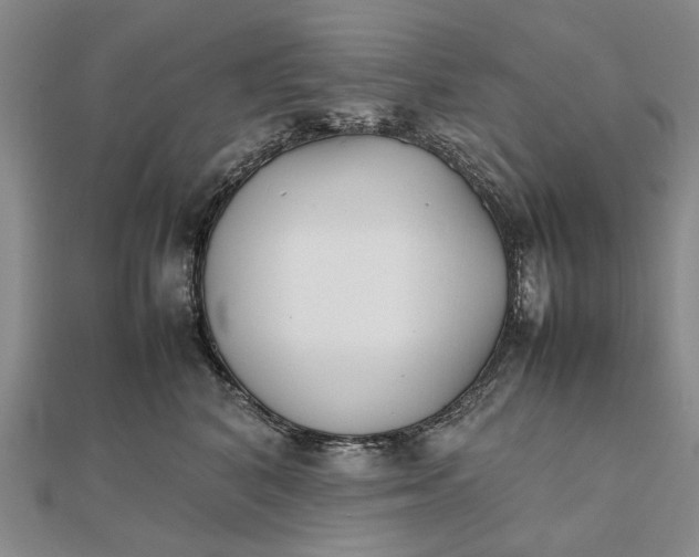 X0000111850616200908061315