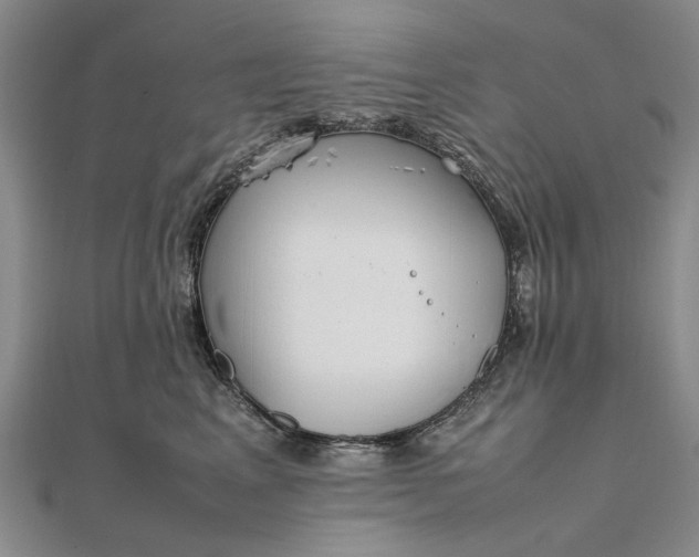 X0000111850617200908061315