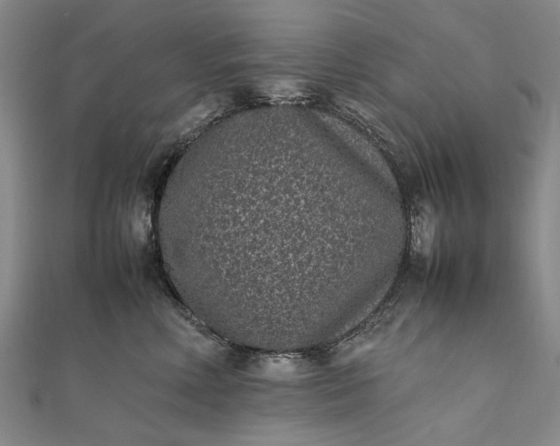 X0000111850618200908061315