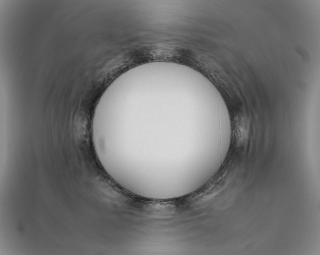 X0000111850619200908061315