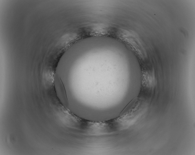 X0000111850621200908061315