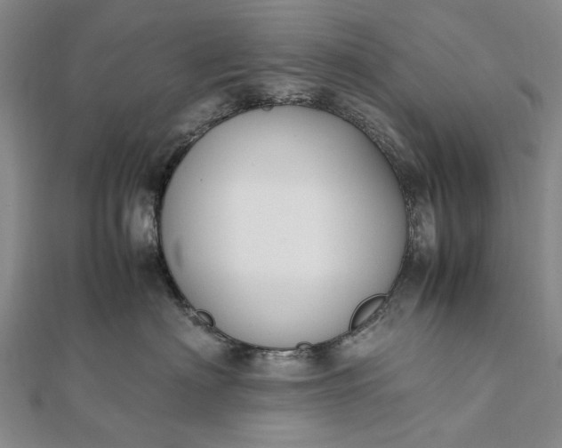 X0000111850622200908061315