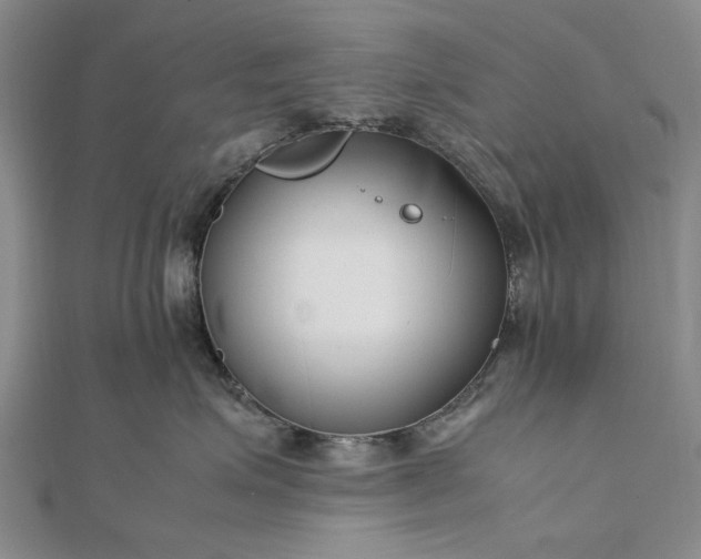 X0000111850623200908061315