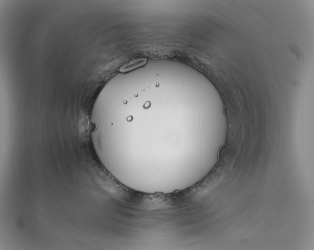 X0000111850624200908061315