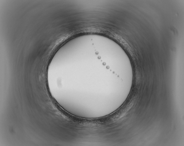 X0000111850625200908061315