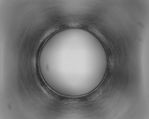 X0000111850626200908061315