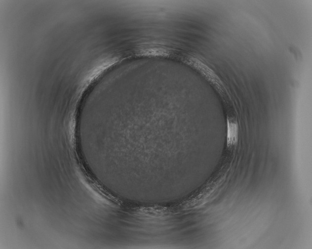 X0000111850627200908061315