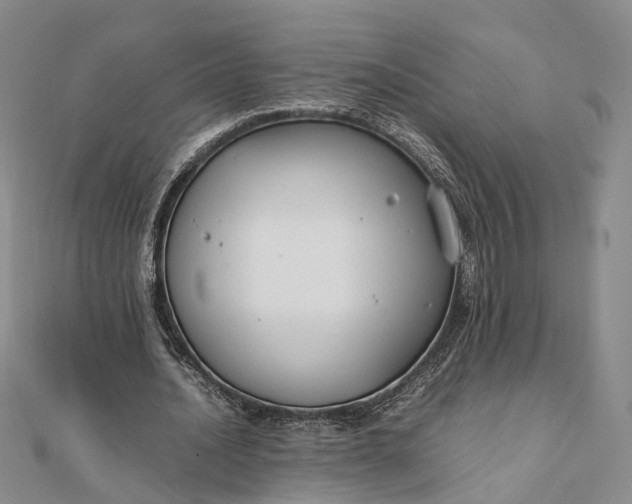 X0000111850628200908061315