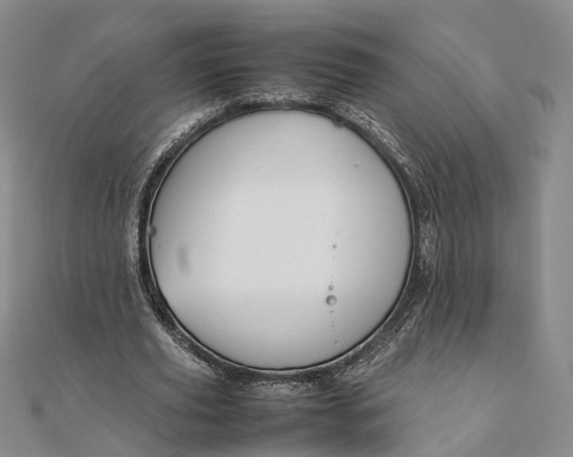 X0000111850629200908061315