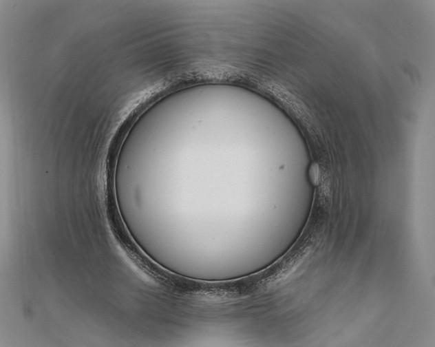 X0000111850630200908061315