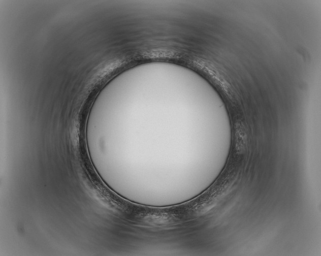 X0000111850631200908061315