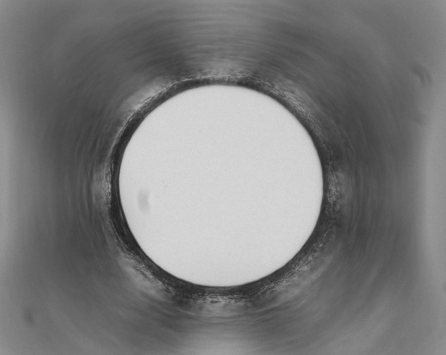 X0000111850632200908061315