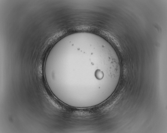 X0000111850633200908061315