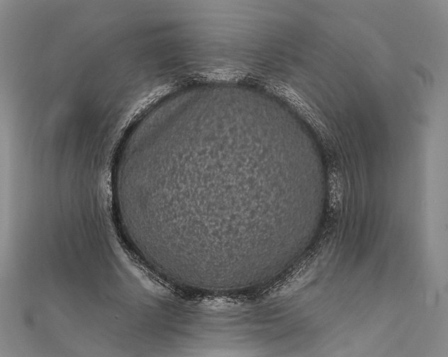 X0000111850634200908061315