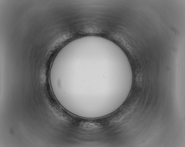 X0000111850635200908061315