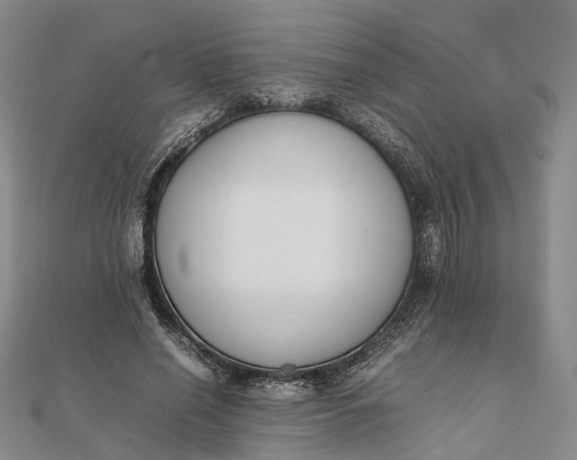 X0000111850638200908061315