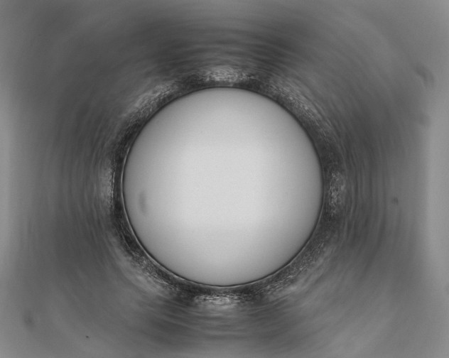 X0000111850639200908061315