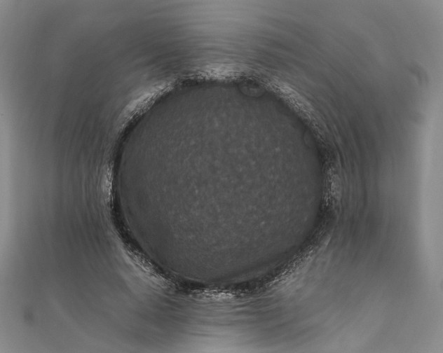 X0000111850640200908061315