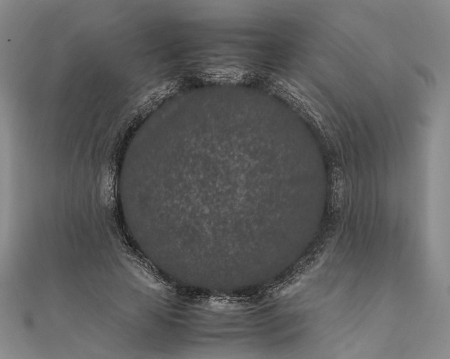 X0000111850641200908061315