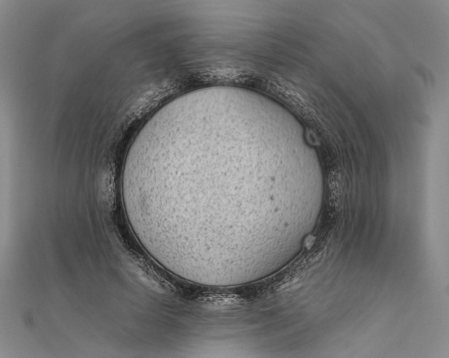 X0000111850642200908061315