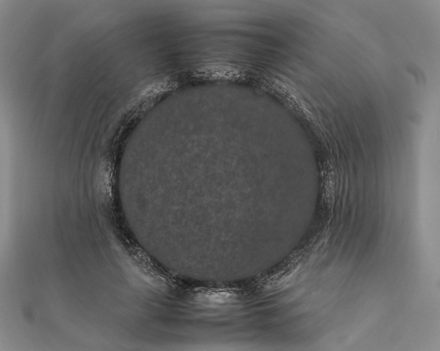 X0000111850643200908061315