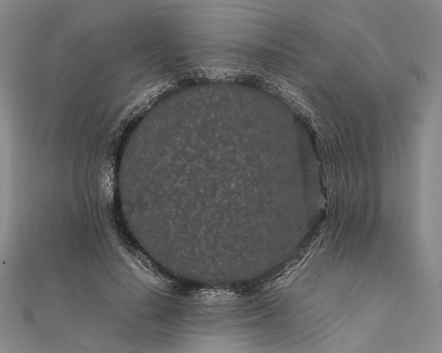 X0000111850644200908061315