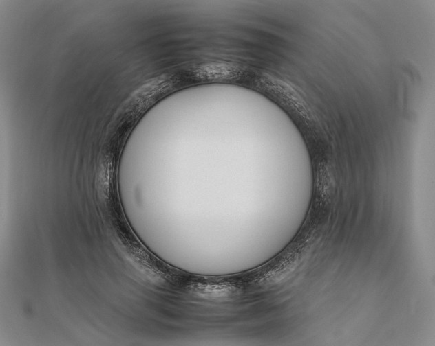 X0000111850645200908061315