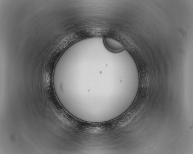 X0000111850646200908061315