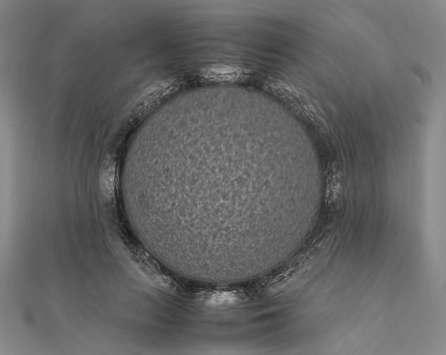 X0000111850647200908061315