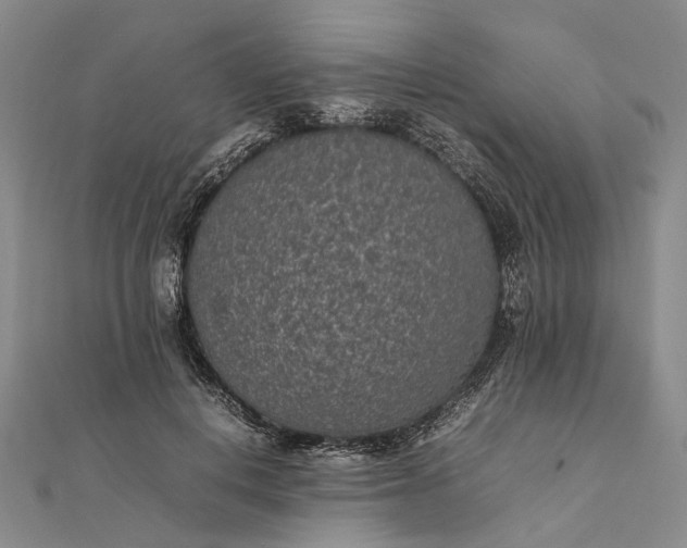 X0000111850648200908061315