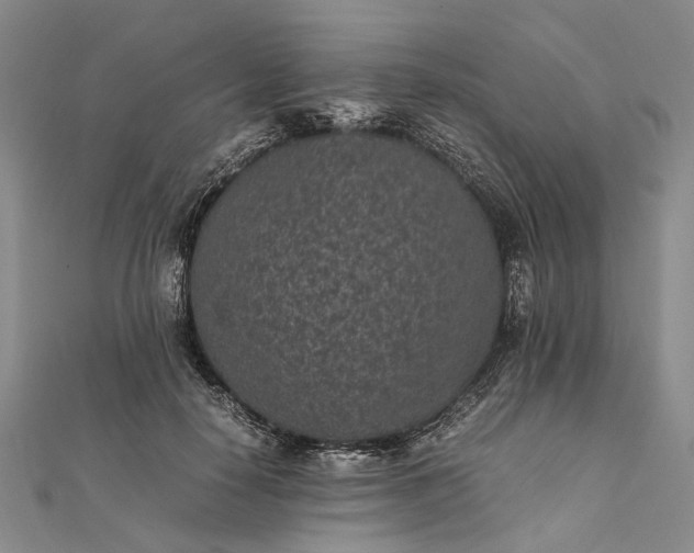 X0000111850650200908061315