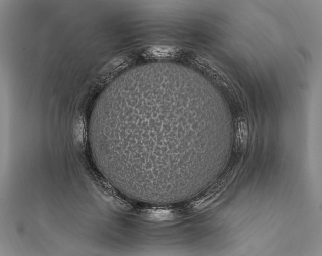 X0000111850651200908061315