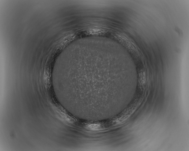 X0000111850653200908061315