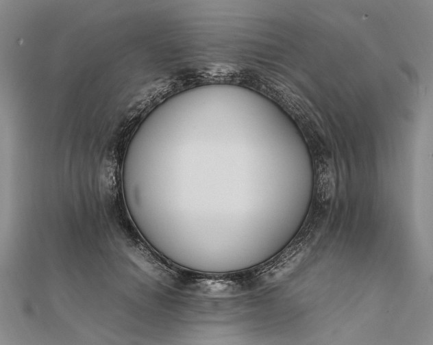 X0000111850654200908061315