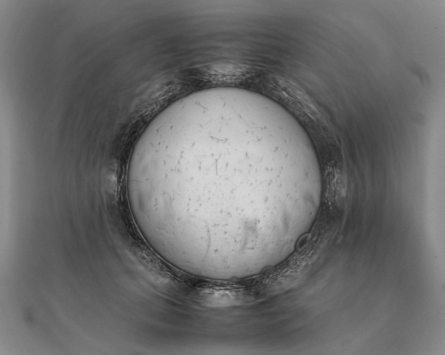 X0000111850655200908061315