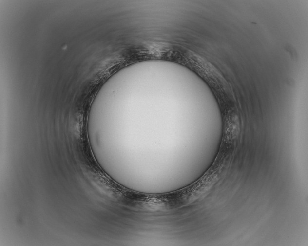 X0000111850656200908061315