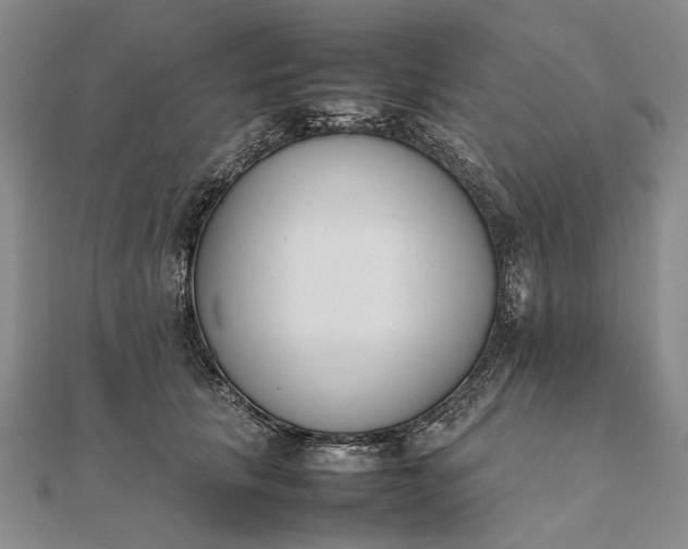 X0000111850657200908061315