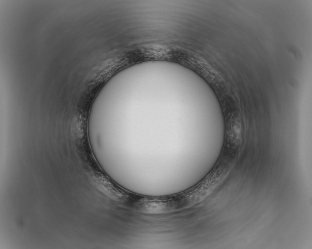 X0000111850658200908061315