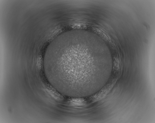 X0000111850659200908061315