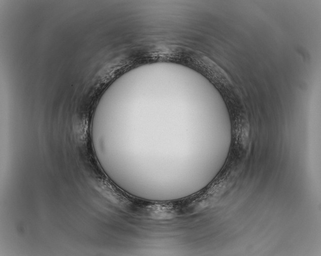 X0000111850660200908061315