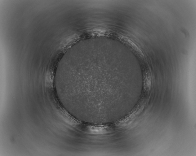 X0000111850661200908061315