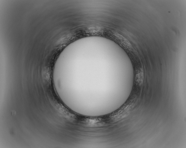 X0000111850662200908061315